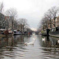 "I amsterdam": Playing tourist in the Dutch capital